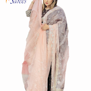 Delhi Boutiques Sarees